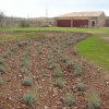 z35. parques y jardines